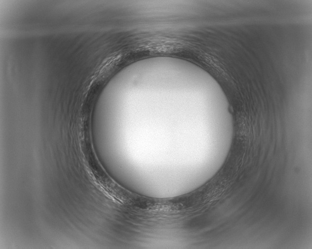 X0000052940738200508050855