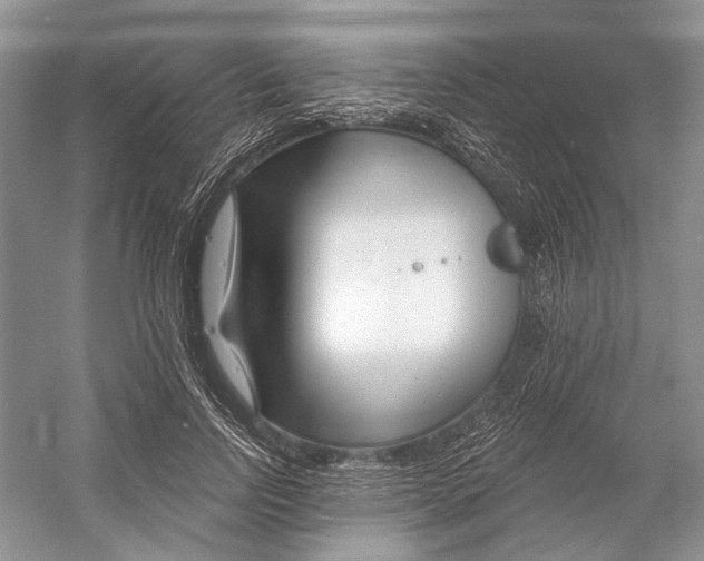 X0000052940742200508050855