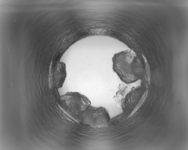 X0000052940745200508050855