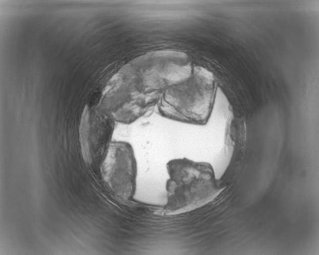 X0000052940749200508050855