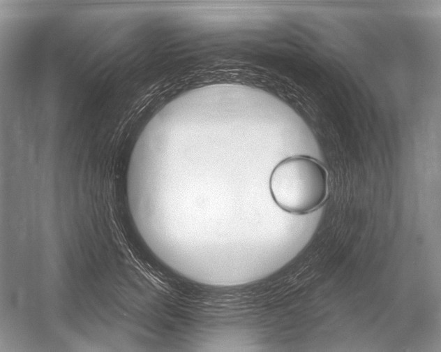 X0000052940750200508050855