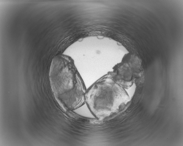 X0000052940753200508050855