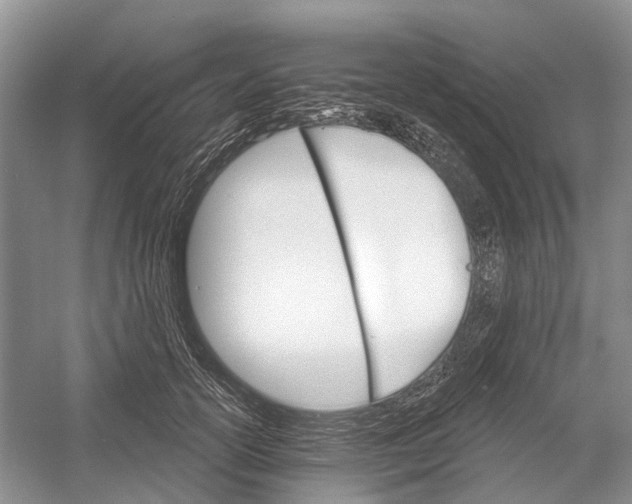 X0000052940754200508050855