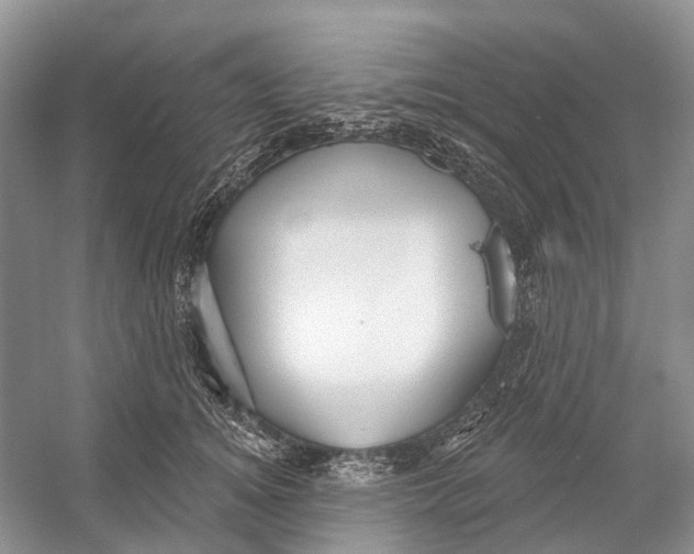 X0000052940756200508050855