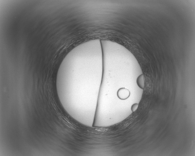 X0000052940758200508050855