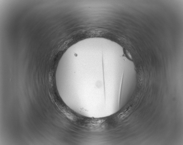 X0000052940759200508050855