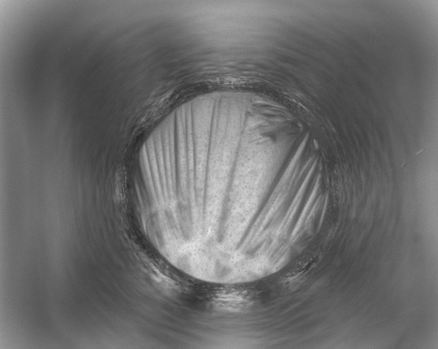 X0000052940760200508050855