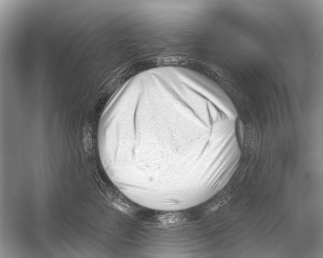 X0000052940761200508050855