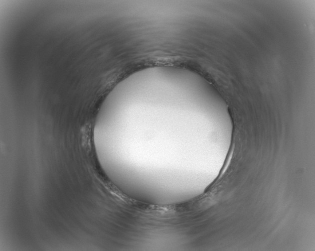 X0000052940768200508050855