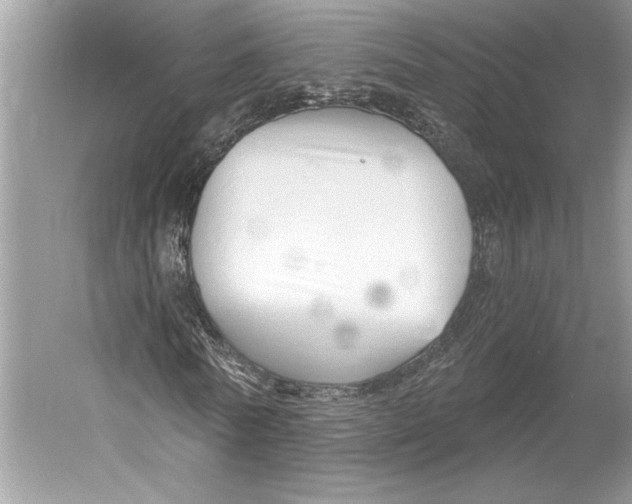 X0000052940770200508050855