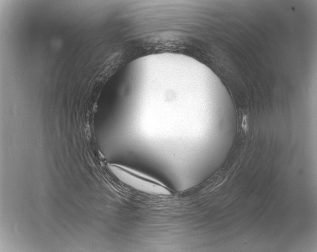 X0000052940771200508050855