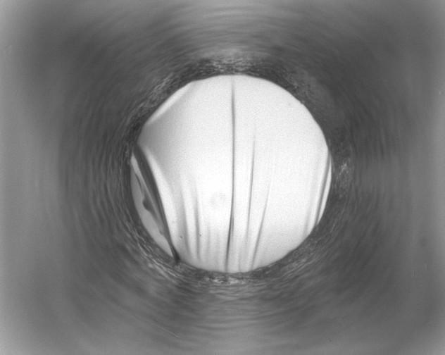 X0000052940772200508050855