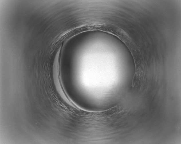 X0000052940773200508050855