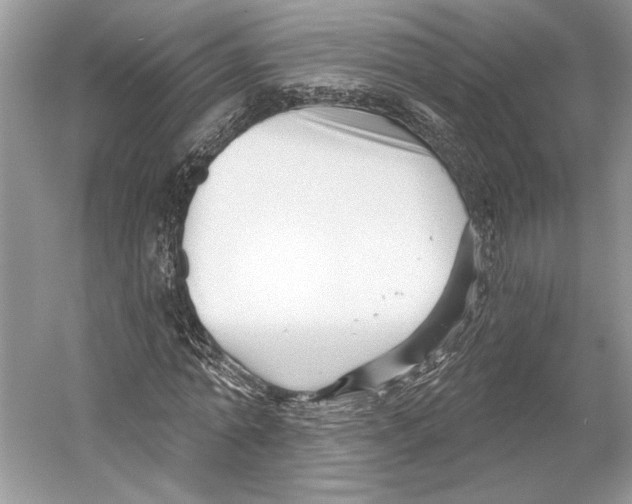 X0000052940774200508050855