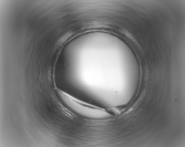 X0000052940777200508050855