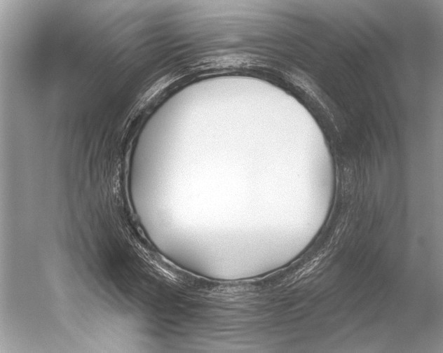 X0000052940778200508050854