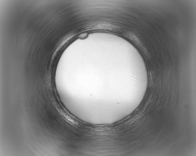 X0000052940780200508050854