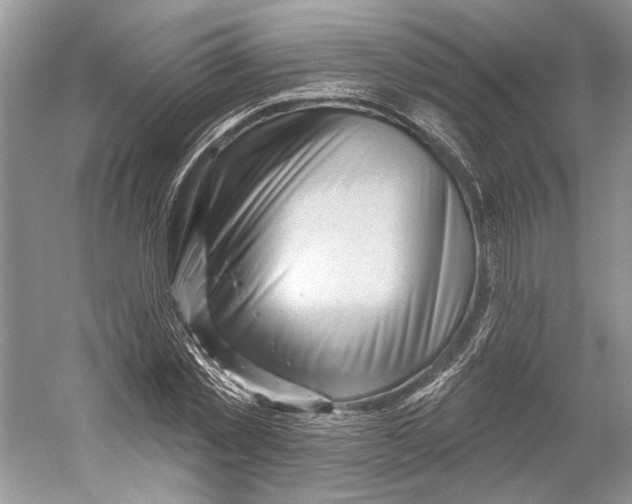 X0000052940781200508050854