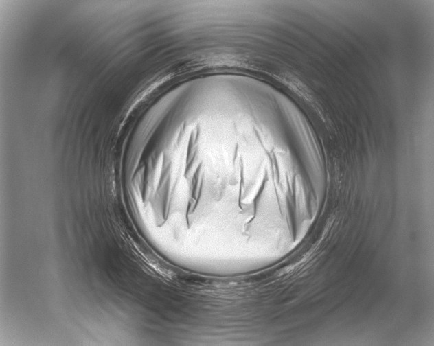 X0000052940782200508050854