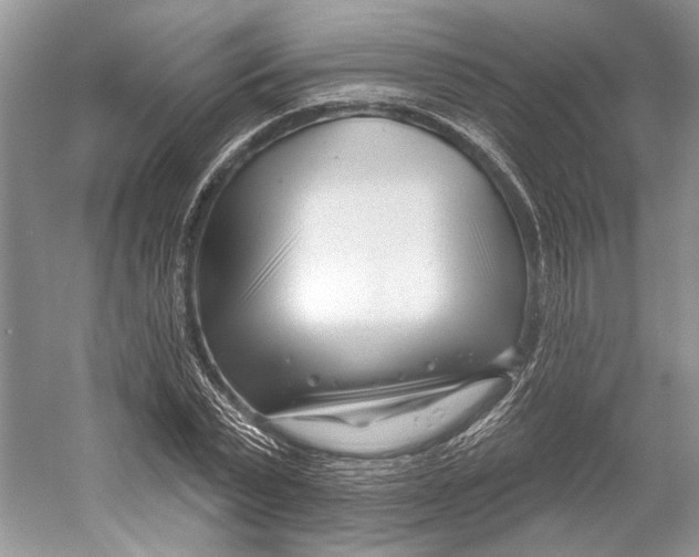 X0000052940783200508050854