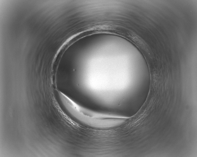 X0000052940784200508050854