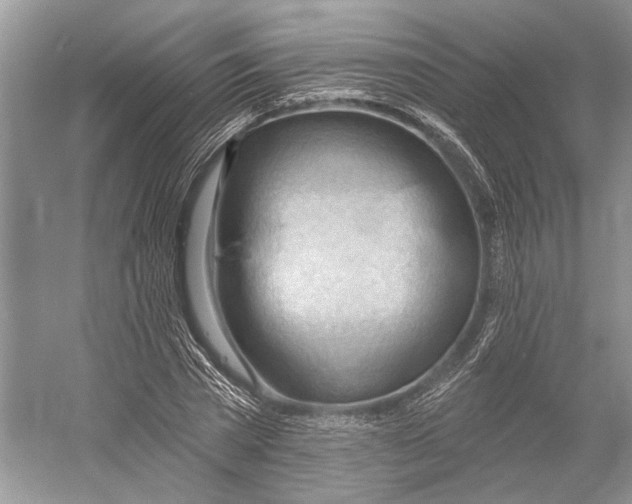 X0000052940785200508050854