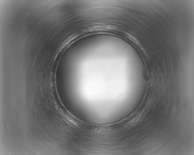 X0000052940786200508050854