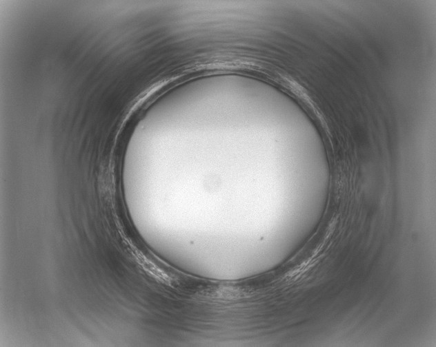 X0000052940787200508050854