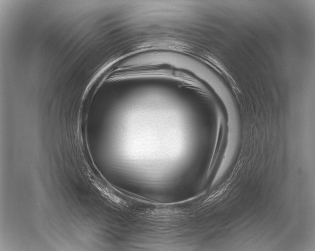 X0000052940788200508050854