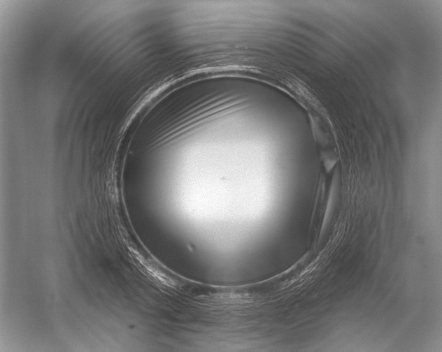 X0000052940789200508050854