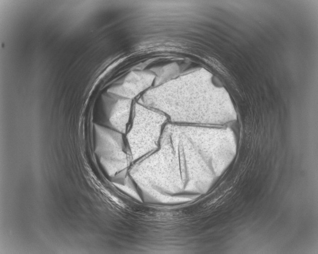 X0000052940790200508050854