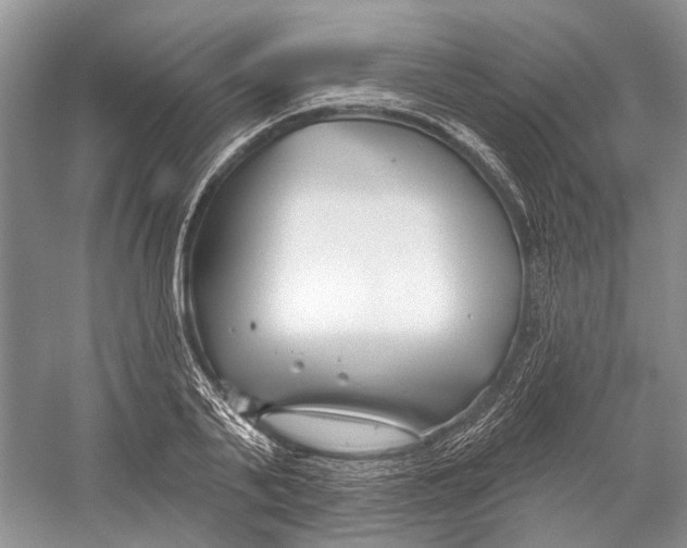 X0000052940791200508050854