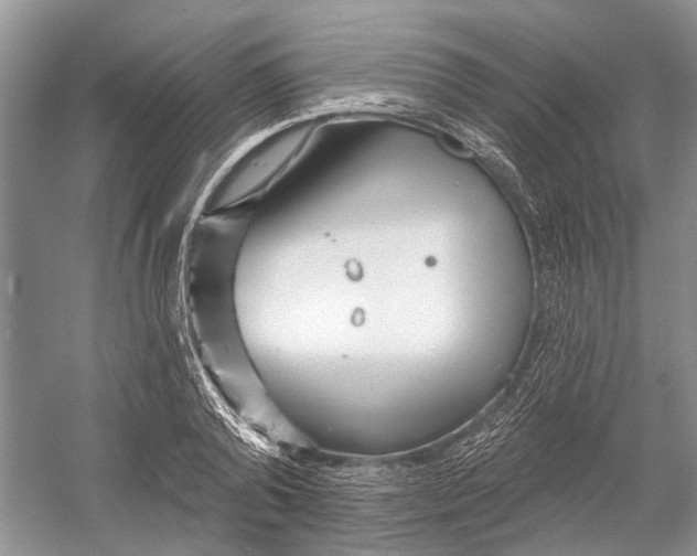 X0000052940792200508050854