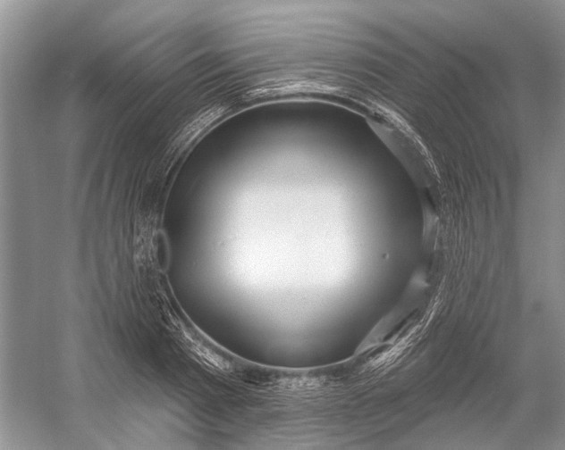 X0000052940793200508050854