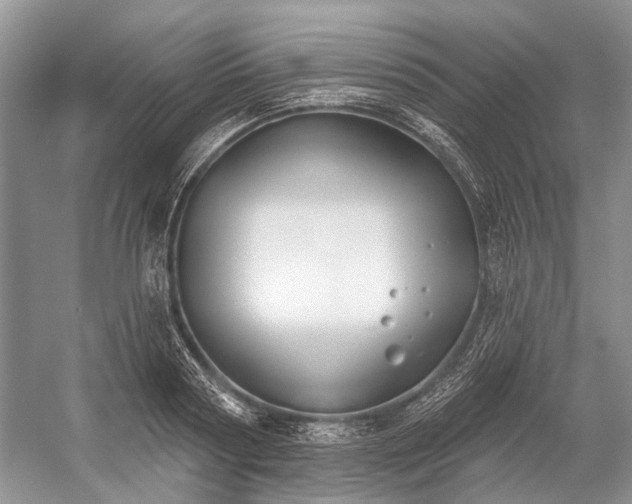 X0000052940794200508050854