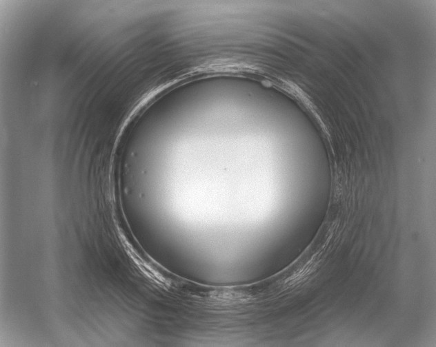 X0000052940795200508050854