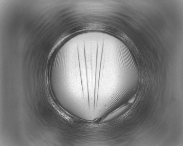 X0000052940796200508050854