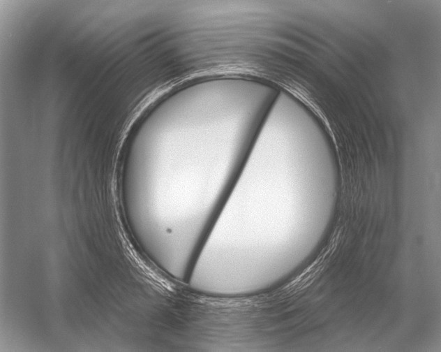 X0000052940797200508050854