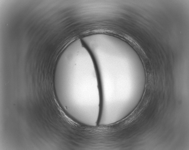 X0000052940801200508050854