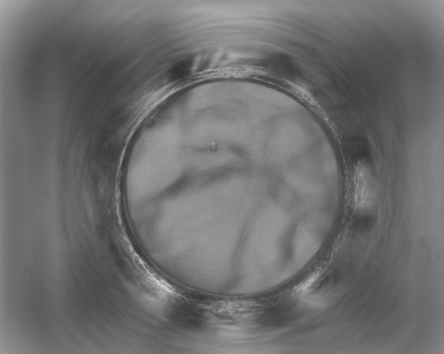 X0000052940802200508050854