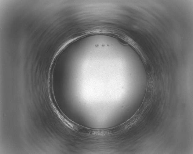 X0000052940803200508050854