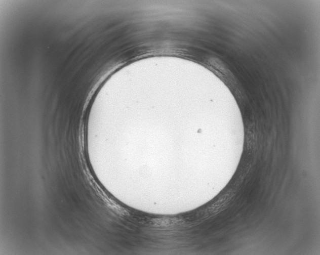 X0000052940804200508050854