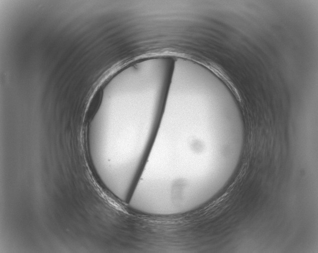 X0000052940805200508050854