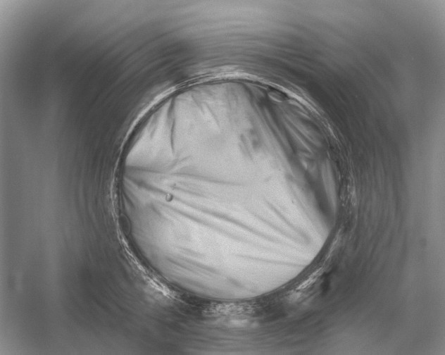 X0000052940806200508050854