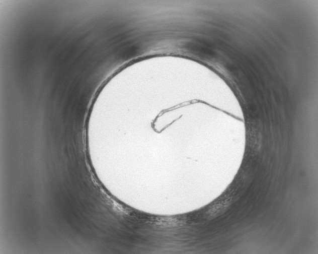 X0000052940807200508050854