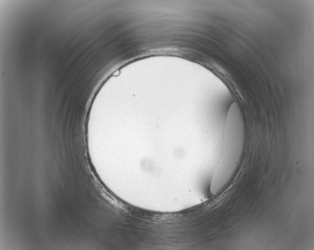 X0000052940808200508050854