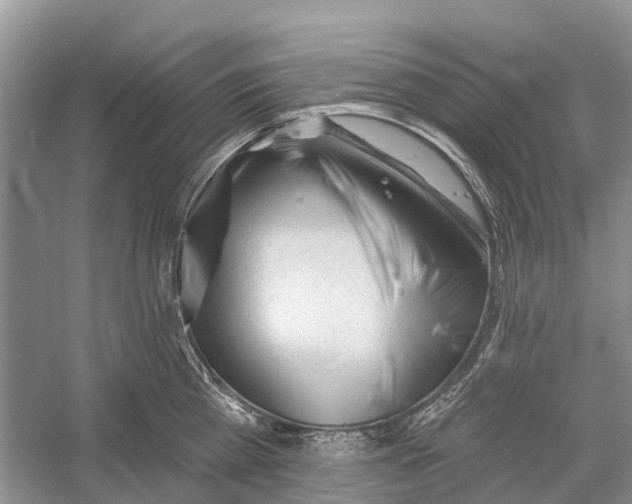 X0000052940809200508050854