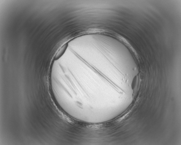 X0000052940810200508050854