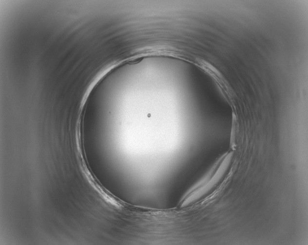 X0000052940812200508050854