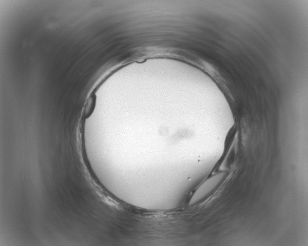 X0000052940814200508050854